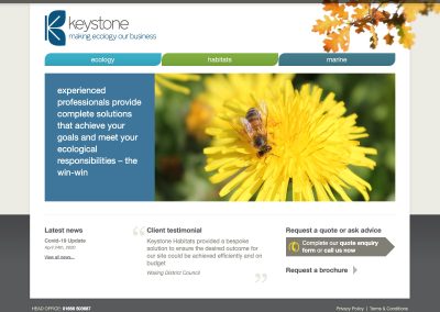 Keystone Environmental