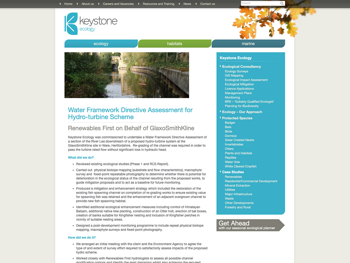 Keystone Environmental web design screenshot