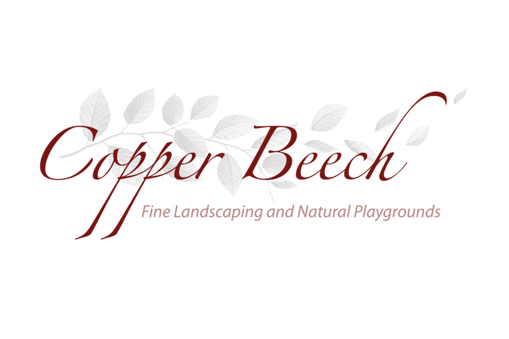 Copper Beech logo